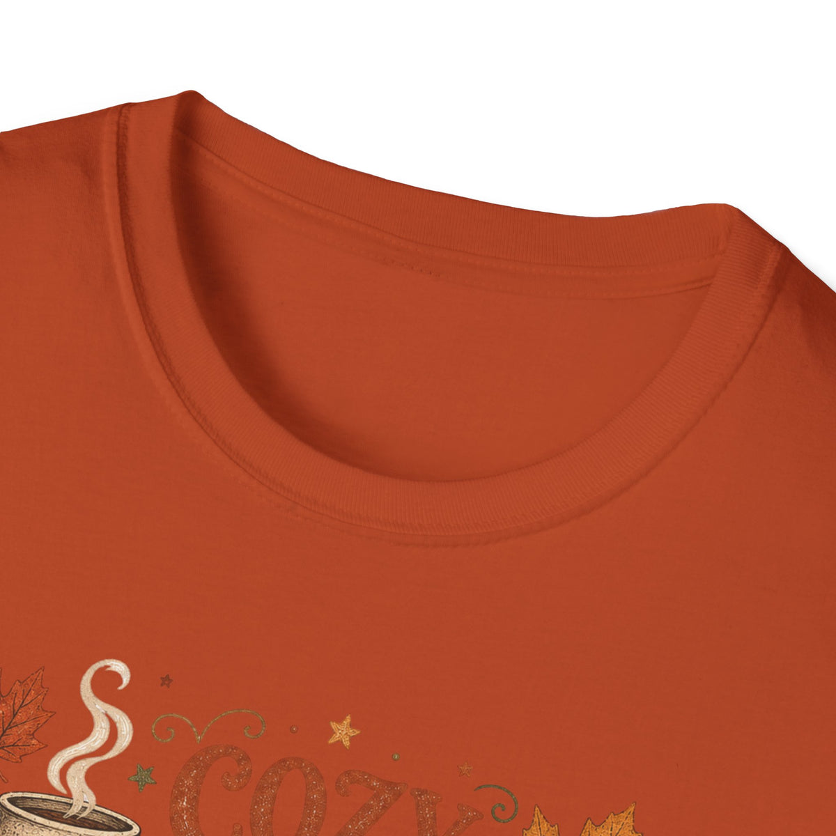 Unisex Softstyle T-Shirt, Cozy Reads and Football Season Shirt, Fall Book Lover Tee, Autumn Game Day Gift