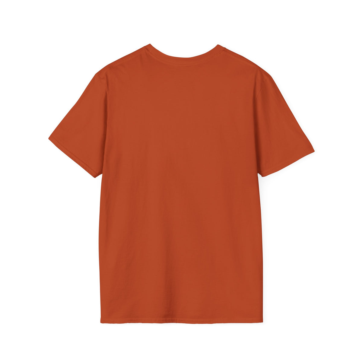 Unisex Softstyle T-Shirt, Cozy Reads and Football Season Shirt, Fall Book Lover Tee, Autumn Game Day Gift